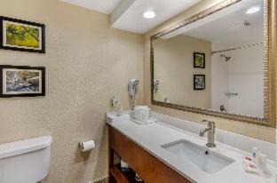 Waynesboro Hotel | Comfort Inn