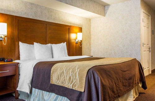 Las Lomas Hotel | Comfort Inn Watsonville