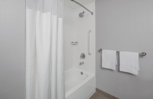 Oldsmar Hotel | Comfort Meets Convenience! Free Parking, Outdoor Pool, Near Tampa Bay Downs