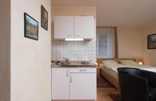 Pockau-Lengefeld Apartment | Comfort Near Oberwiesenthal, cleaning included