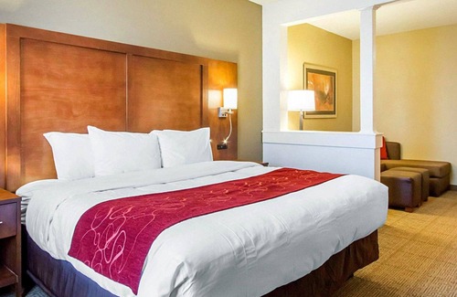 Abilene Hotel | Comfort Suites Abilene Central