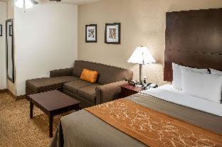 Northeast Heights Hotel | Comfort Suites Albuquerque-North Journal Center