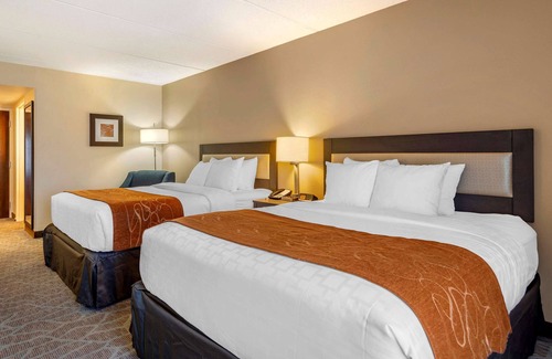 Alpharetta Hotel | Comfort Suites Alpharetta/Roswell - Atlanta Area