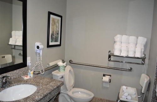 Katy Hotel | Comfort Suites at Katy Mills