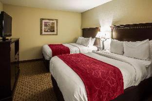 Bloomington Hotel | Comfort Suites Bloomington I-55 and I-74