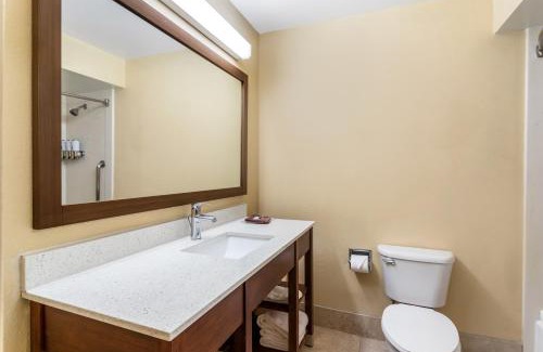 Houston Hotel | Comfort Suites Bush Intercontinental Airport