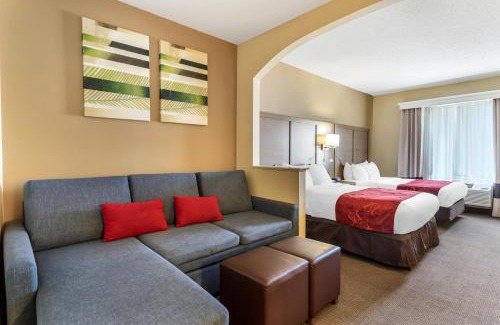 Houston Hotel | Comfort Suites Bush Intercontinental Airport