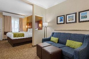 Central City Hotel | Comfort Suites Corpus Christi Central