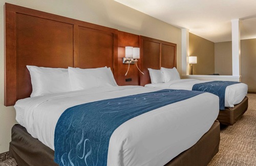 Daytona Beach Hotel | Comfort Suites Daytona Beach - Speedway