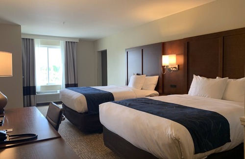 Daytona Beach Hotel | Comfort Suites Daytona Beach - Speedway