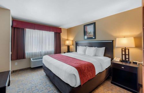 Englewood Hotel | Comfort Suites Denver Tech Center