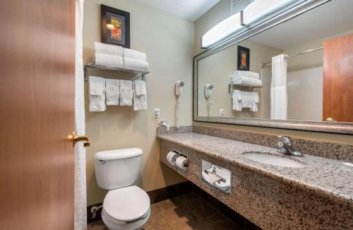 Englewood Hotel | Comfort Suites Denver Tech Center