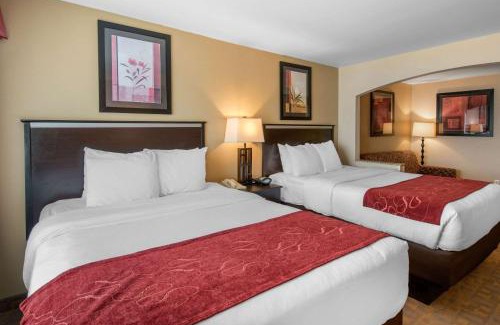Englewood Hotel | Comfort Suites Denver Tech Center