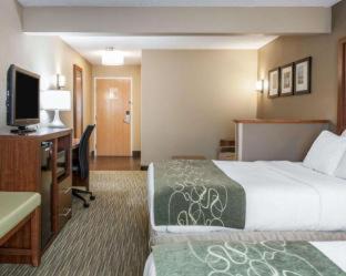 Elkhart Hotel | Comfort Suites Elkhart North