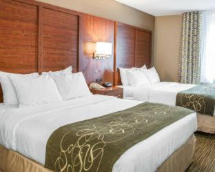 Elkhart Hotel | Comfort Suites Elkhart North