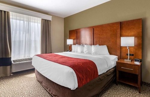 Florence Hotel | Comfort Suites Florence I-95