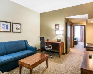 Fredericksburg Hotel | Comfort Suites Fredericksburg South