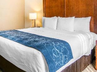 Fredericksburg Hotel | Comfort Suites Fredericksburg South