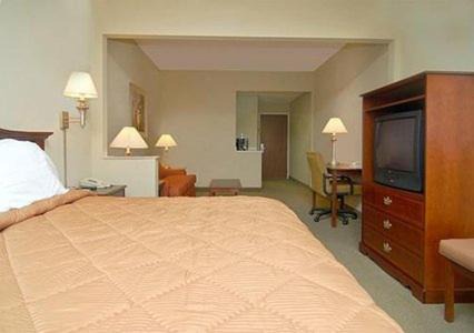Gadsden Hotel | Comfort Suites Gadsden Attalla