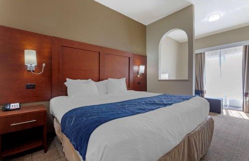 Gainesville Hotel | Comfort Suites Gainesville