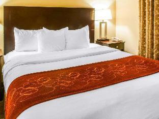 Gallup Hotel | Comfort Suites Gallup East Route 66 and I-40