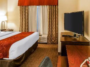 Gallup Hotel | Comfort Suites Gallup East Route 66 and I-40