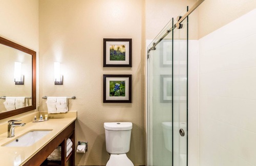 Grand Prairie Hotel | Comfort Suites Grand Prairie - Arlington North