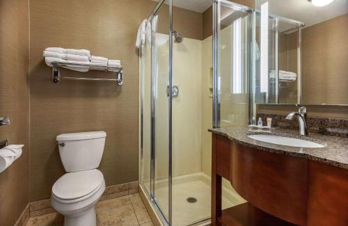 Howard Hotel | Comfort Suites Green Bay West