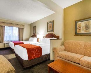 Howard Hotel | Comfort Suites Green Bay West