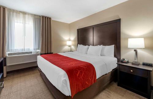 Highlands Ranch Hotel | Comfort Suites Highlands Ranch Denver Tech Center Area