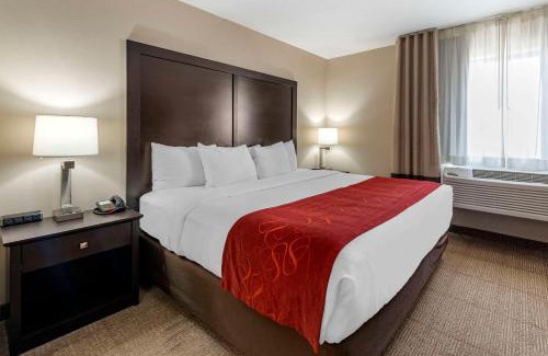 Highlands Ranch Hotel | Comfort Suites Highlands Ranch Denver Tech Center Area