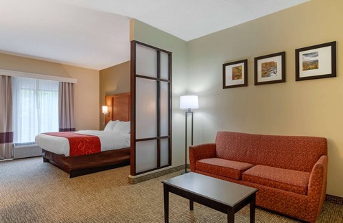 Kingsport Hotel | Comfort Suites Kingsport