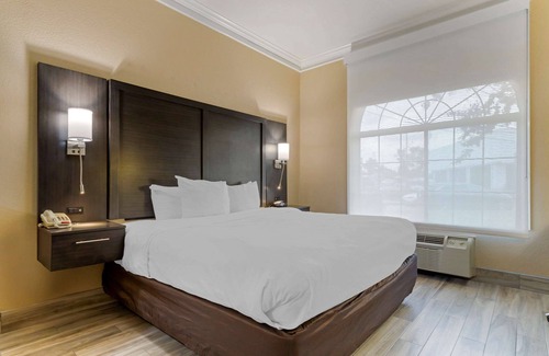 Humble Hotel | Comfort Suites Kingwood Houston North