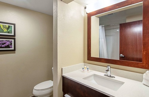 Alcoa Hotel | Comfort Suites Knoxville Airport