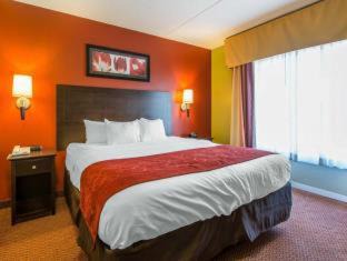 Knoxville Hotel | Comfort Suites Knoxville East