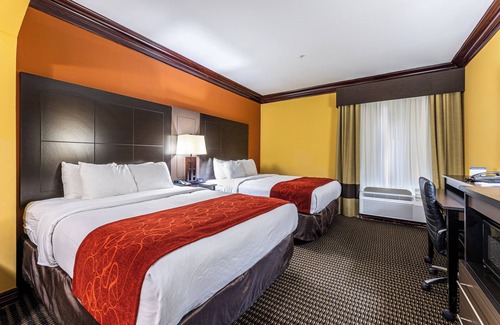 Lake Jackson Hotel | Comfort Suites Lake Jackson Clute
