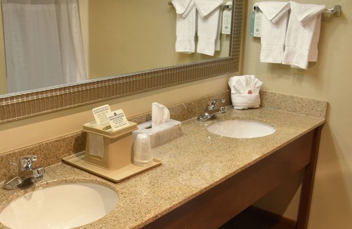 Albany Hotel | Comfort Suites Linn County