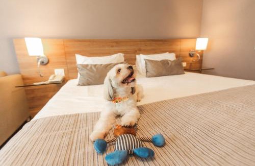 Londrina Hotel | Comfort Suites Londrina