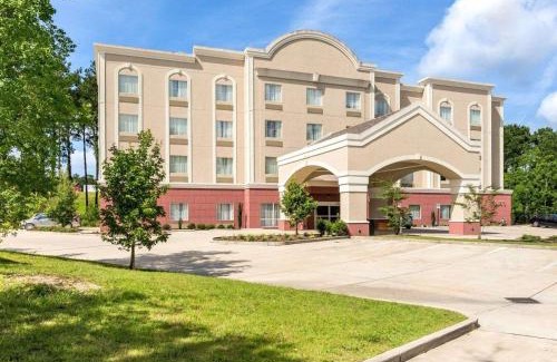Mandeville Hotel | Comfort Suites Mandeville - Covington