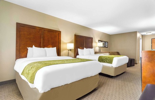 Mount Vernon Hotel | Comfort Suites Mount Vernon