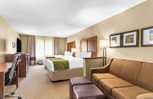 Mount Vernon Hotel | Comfort Suites Mount Vernon
