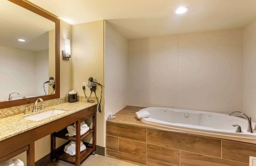 Sun Valley Hotel | Comfort Suites Near Denver Downtown