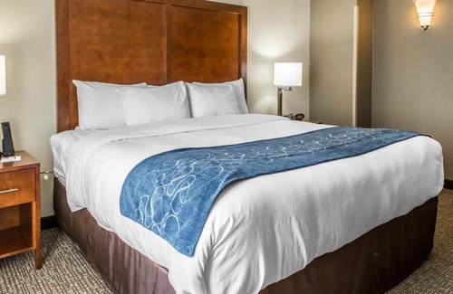 Dale City Hotel | Comfort Suites Near Potomac Mills