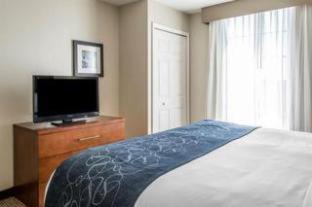 Dale City Hotel | Comfort Suites Near Potomac Mills