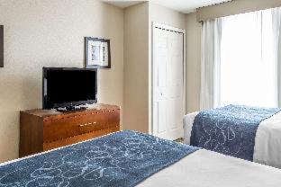 Dale City Hotel | Comfort Suites Near Potomac Mills