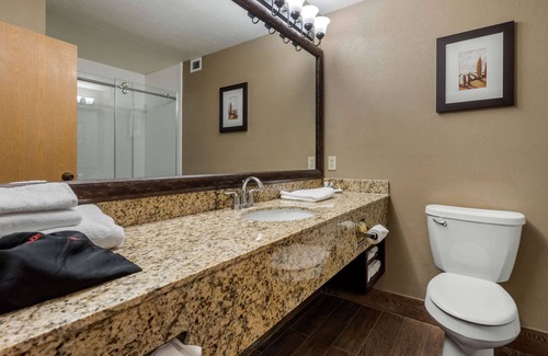 Springfield Hotel | Comfort Suites near Route 66