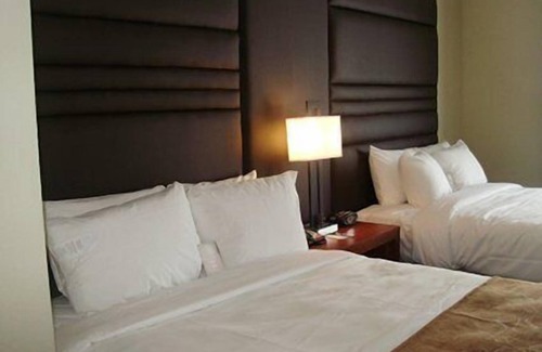 Gonzales Hotel | Comfort Suites near Tanger Outlet Mall