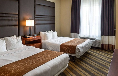 Gonzales Hotel | Comfort Suites near Tanger Outlet Mall