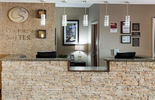 Gonzales Hotel | Comfort Suites near Tanger Outlet Mall