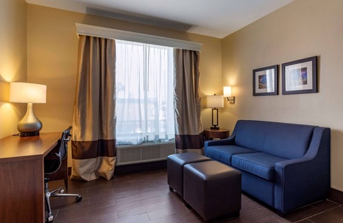 South Main Hotel | Comfort Suites near Texas Medical Center - NRG Stadium